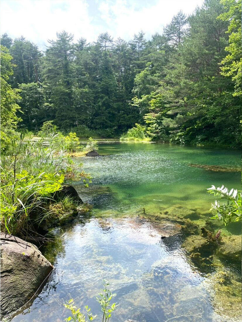 上質で滑らかな乗り心地。